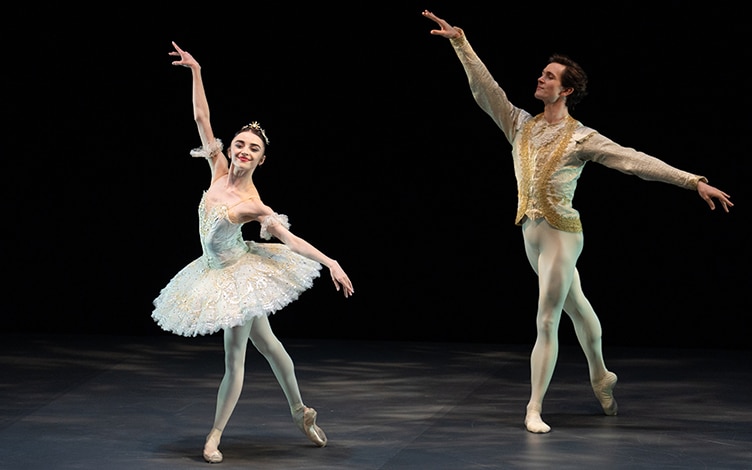 harlequin floors about 5